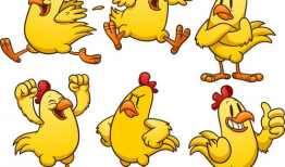 鸡动漫,萌鸡奇遇记